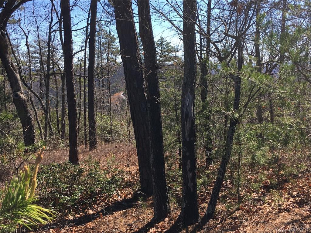 Lot 34 Inspiration Ridge Drive, Unit 34 Bostic, NC 28018 - Photo 12 of 14 Gallery Image 12
