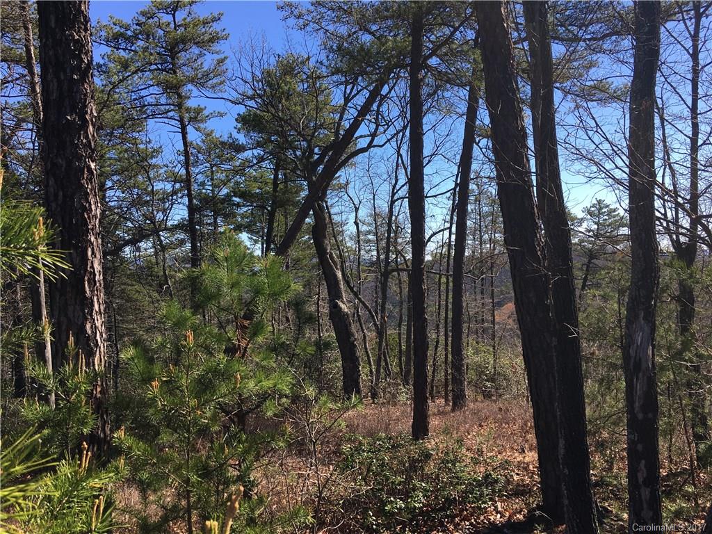 Lot 34 Inspiration Ridge Drive, Unit 34 Bostic, NC 28018 - Photo 13 of 14 Gallery Image 13