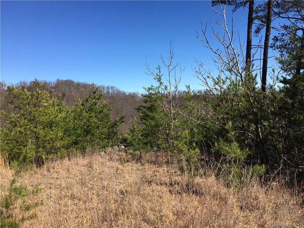 Lot 34 Inspiration Ridge Drive, Unit 34 Bostic, NC 28018 - Photo 14 of 14 Gallery Image 14
