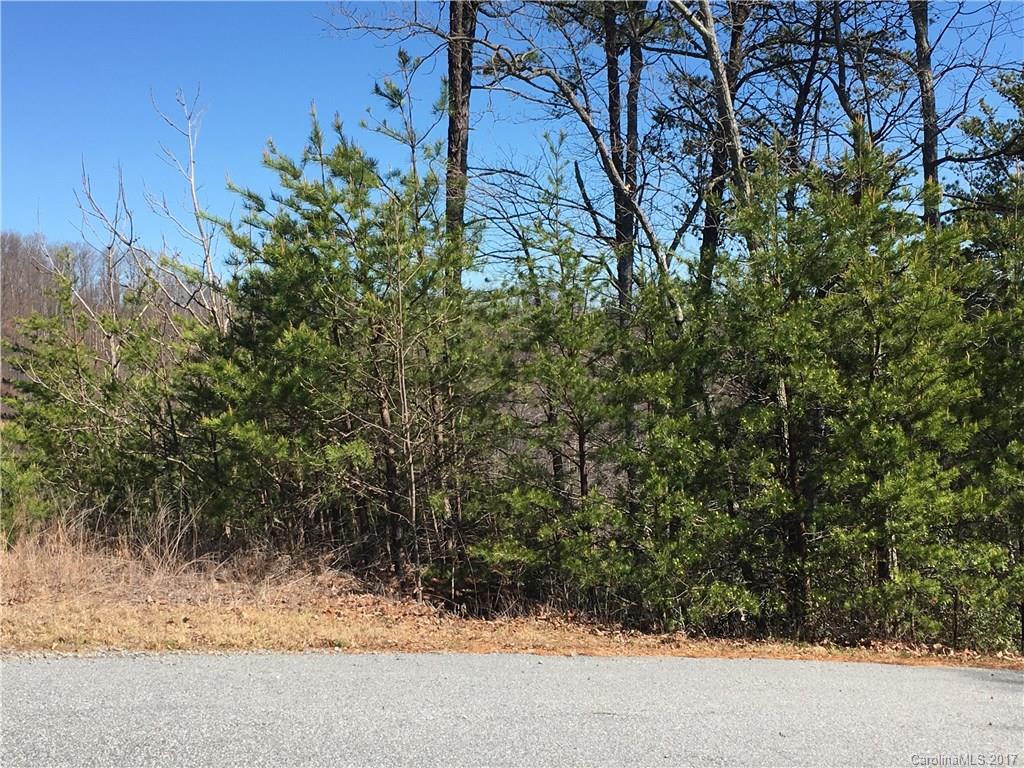 Lot 34 Inspiration Ridge Drive, Unit 34 Bostic, NC 28018 - Photo 4 of 14 Gallery Image 4