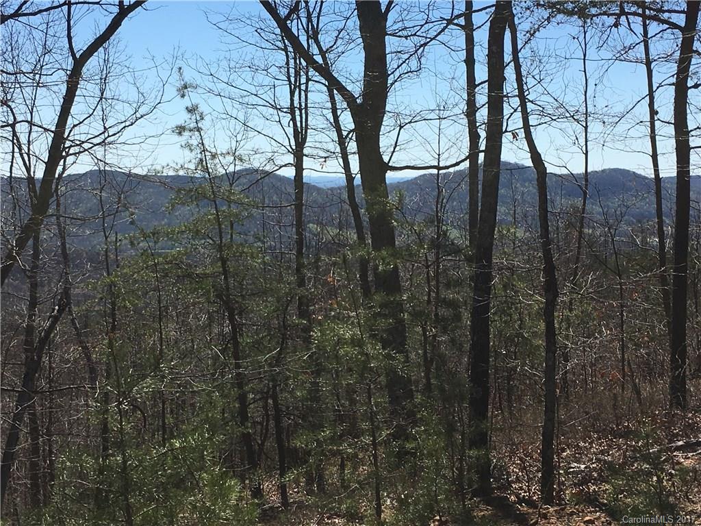 Lot 34 Inspiration Ridge Drive, Unit 34 Bostic, NC 28018 - Photo 5 of 14 Gallery Image 5