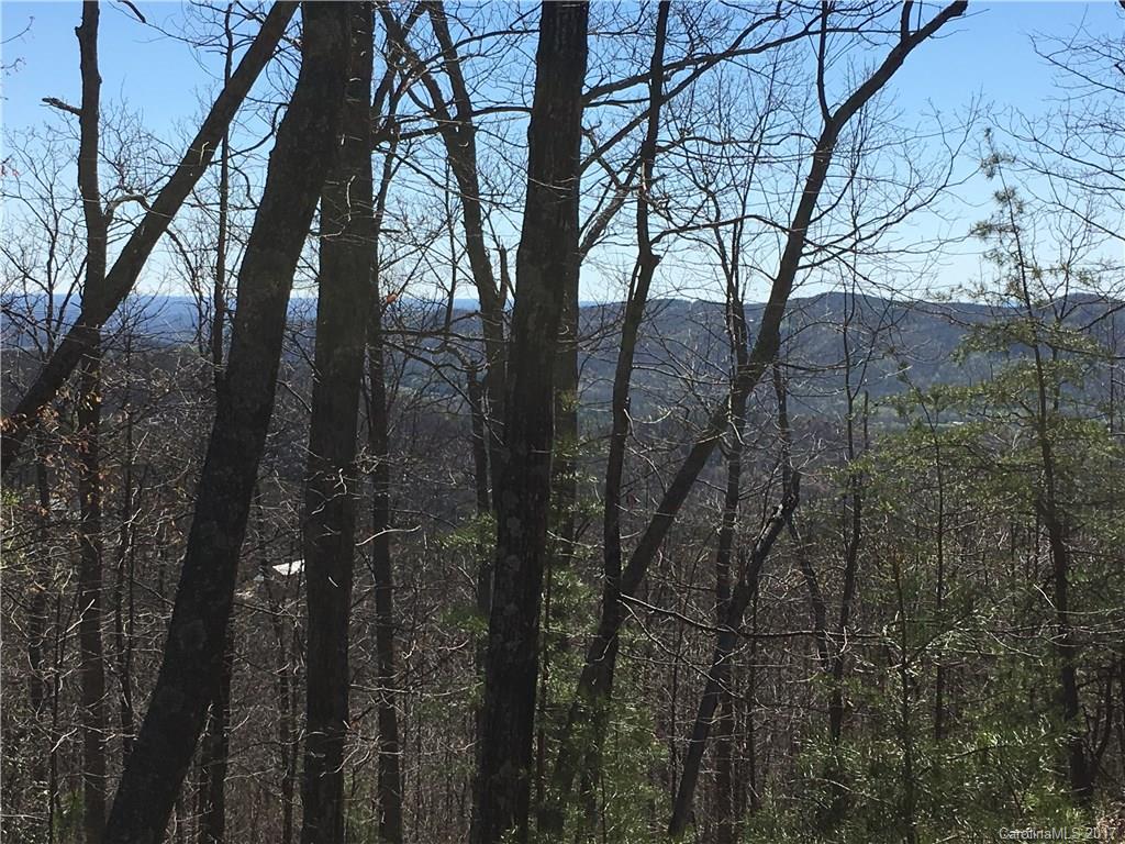 Lot 34 Inspiration Ridge Drive, Unit 34 Bostic, NC 28018 - Photo 6 of 14 Gallery Image 6