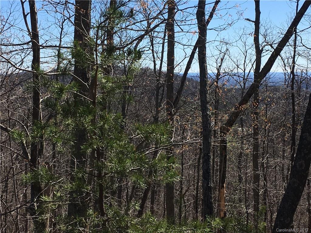 Lot 34 Inspiration Ridge Drive, Unit 34 Bostic, NC 28018 - Photo 7 of 14 Gallery Image 7