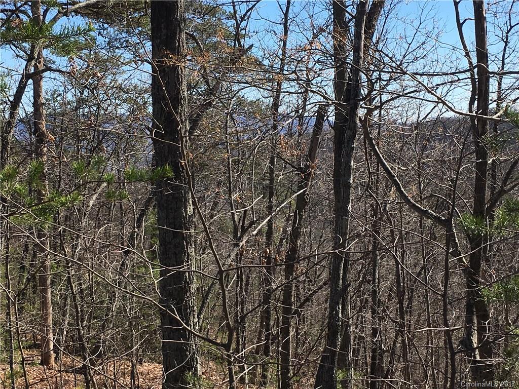 Lot 34 Inspiration Ridge Drive, Unit 34 Bostic, NC 28018 - Photo 8 of 14 Gallery Image 8