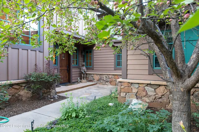 a small garden area with tall trees