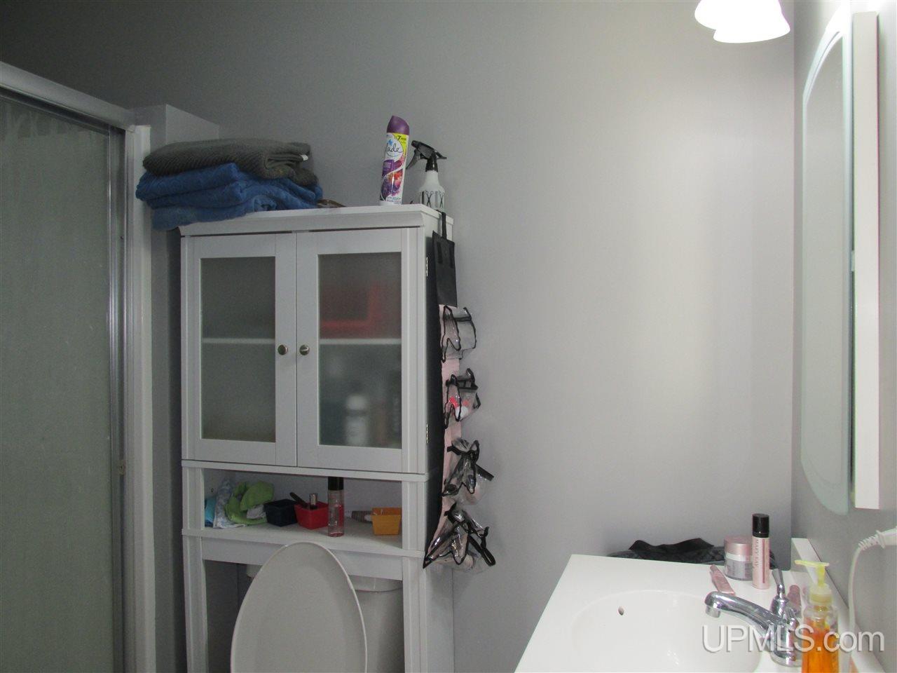 3538 County 426 M.5 Road Cornell, MI 49818 - Photo 25 of 29