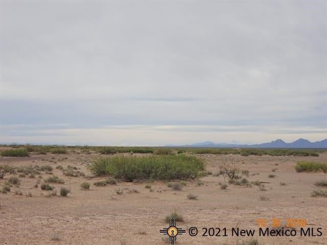 Southeast Jefferson Road Deming, NM 88030 - Photo 1 of 1 Gallery Image 1