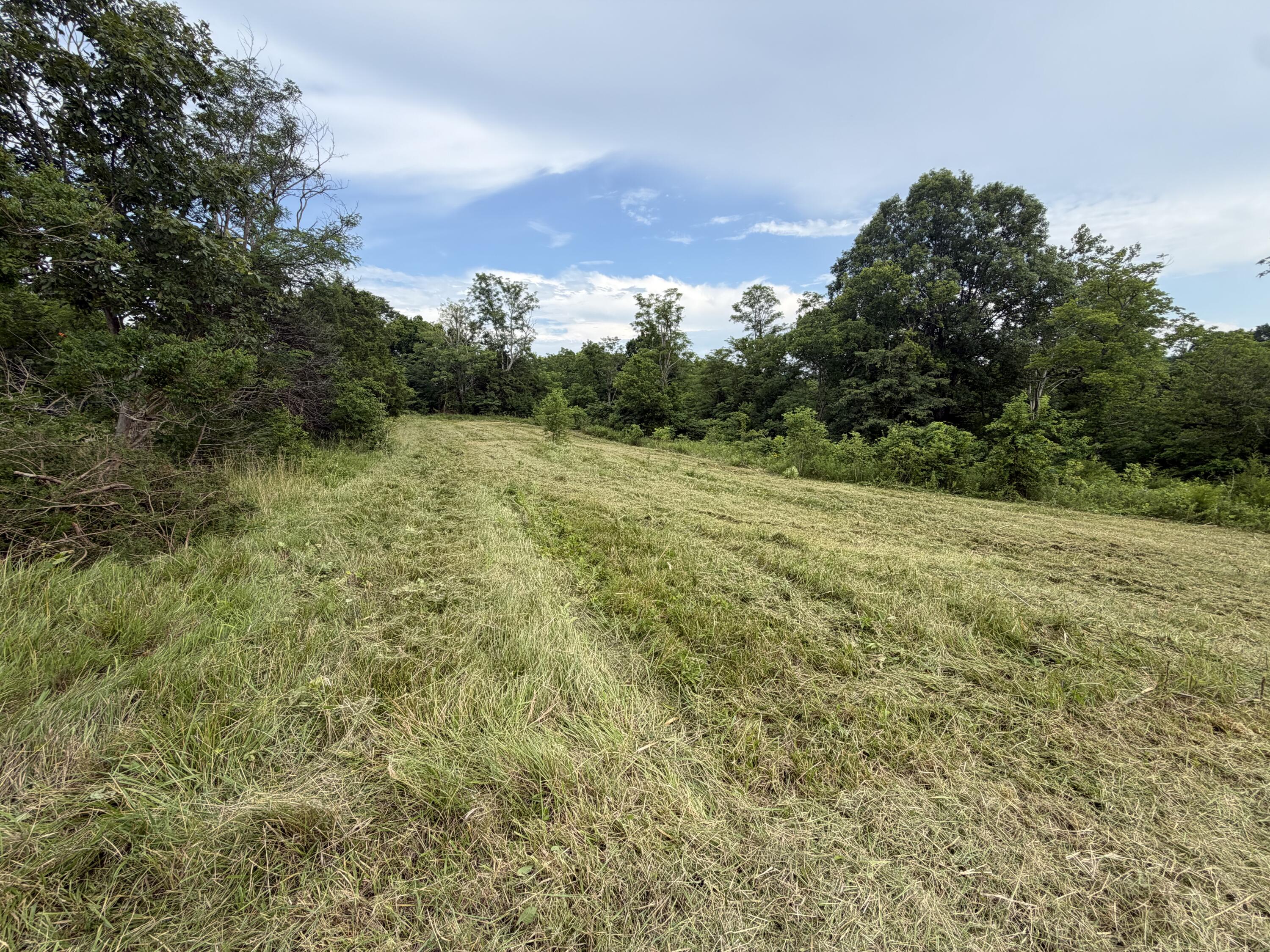 0 Swope Natlee Road Corinth, KY 41010 - Photo 5 of 16 IMG_4929