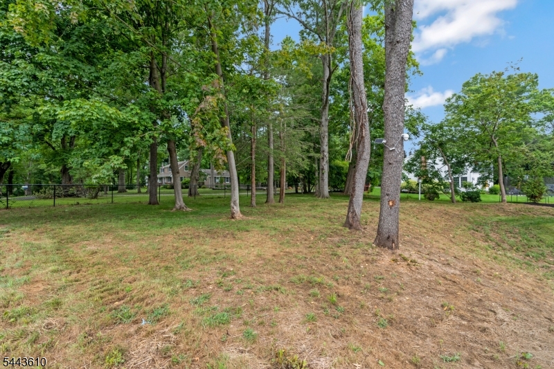 752 Valley Road Gillette, NJ 07933 - Photo 45 of 50