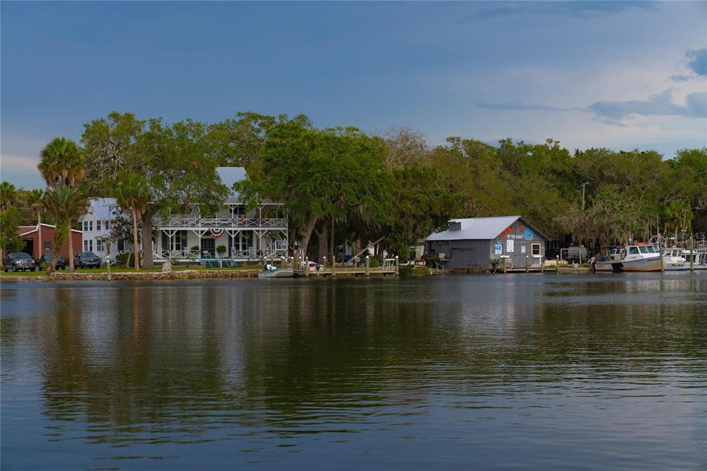11579 West Rosa Court Homosassa, FL 34448 - Photo 63 of 65 Gallery Image 63