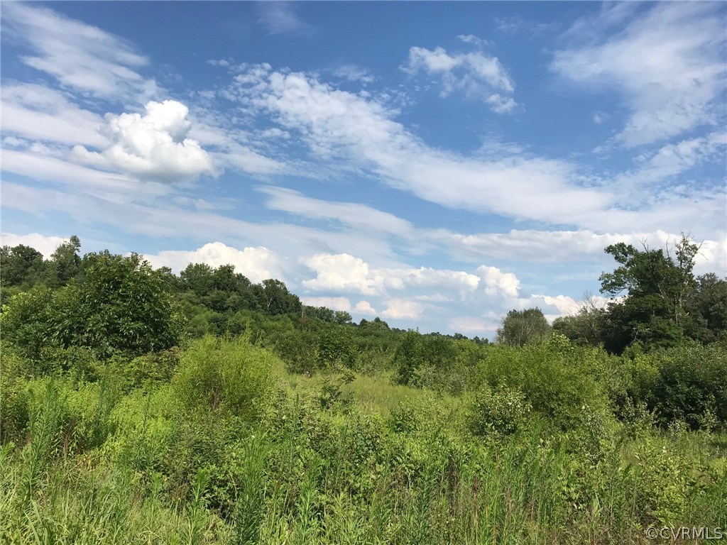 19100 Teman Road Beaverdam, VA 23015 - Photo 2 of 6 a view of a bunch of trees in a field