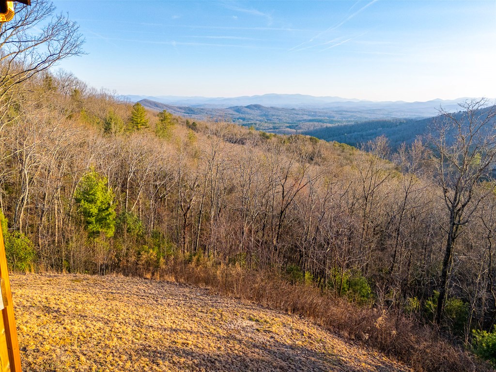150 Lazy Country Cv Road Murphy, NC 28906 - Photo 68 of 90