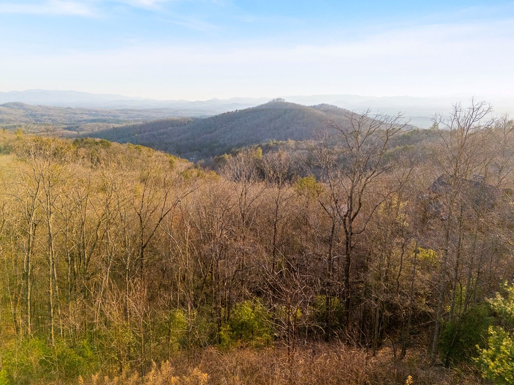 150 Lazy Country Cv Road Murphy, NC 28906 - Photo 81 of 90