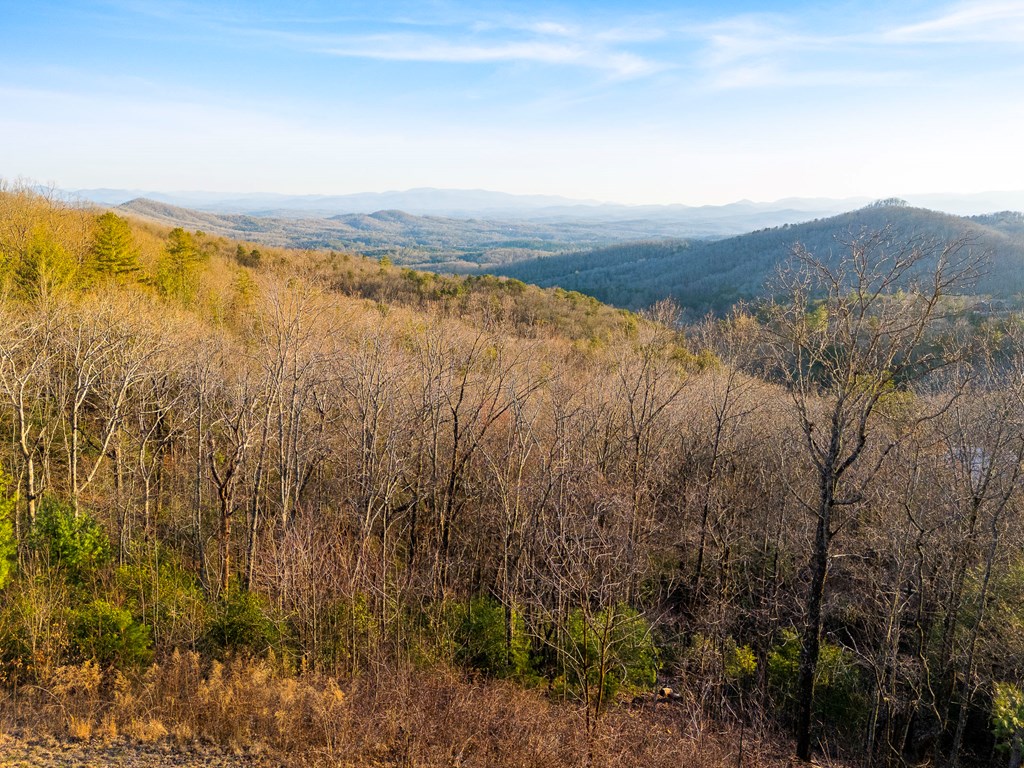 150 Lazy Country Cv Road Murphy, NC 28906 - Photo 82 of 90