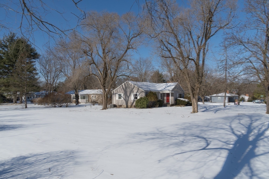50 Oak Road Longmeadow, MA 01106 - Photo 27 of 37 a view of road and trees