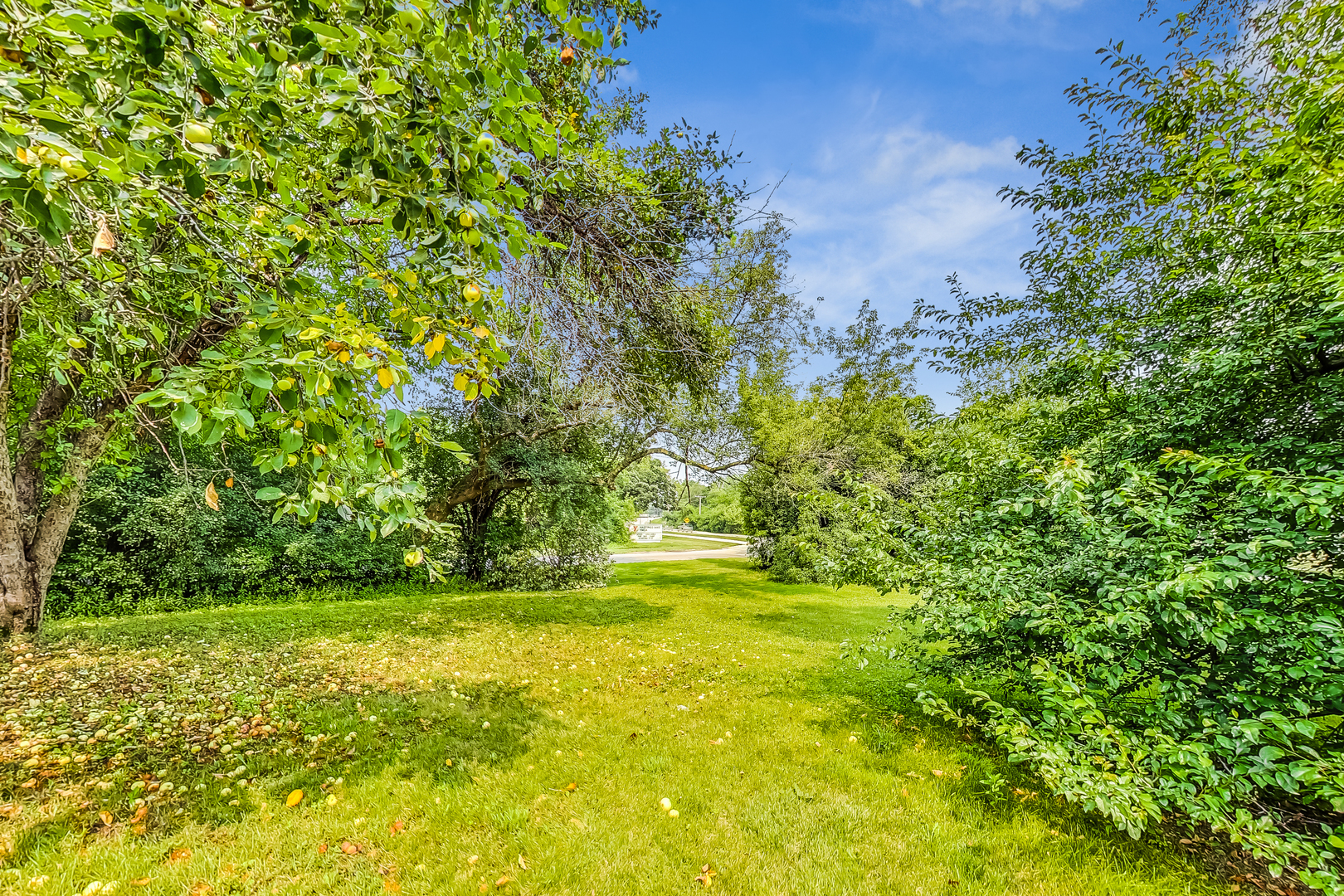544 Northgate Road Lindenhurst, IL 60046 - Photo 29 of 32 a view of outdoor space with deck and yard