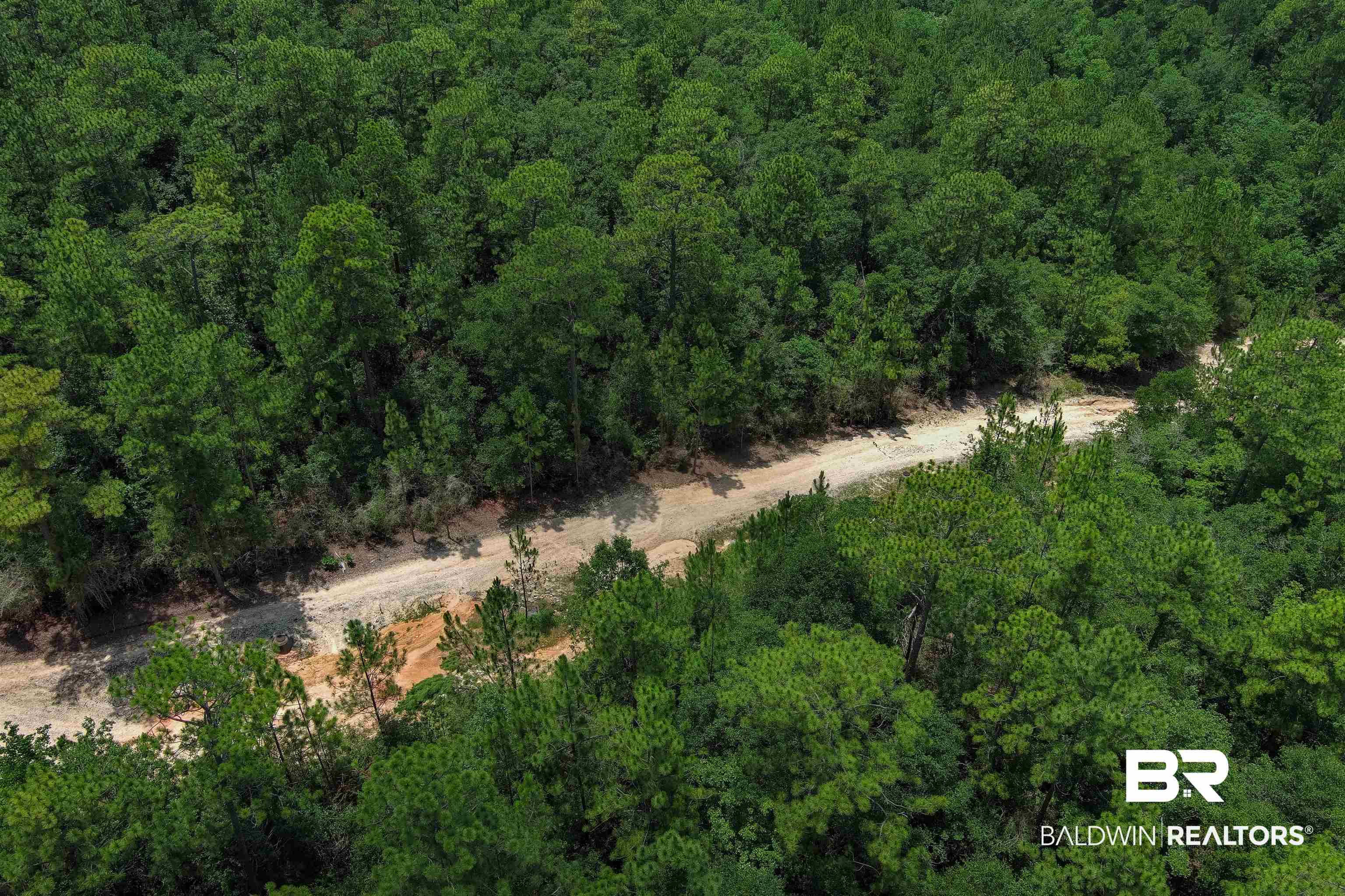 0 Schillinger Road Mobile, AL 36619 - Photo 23 of 25