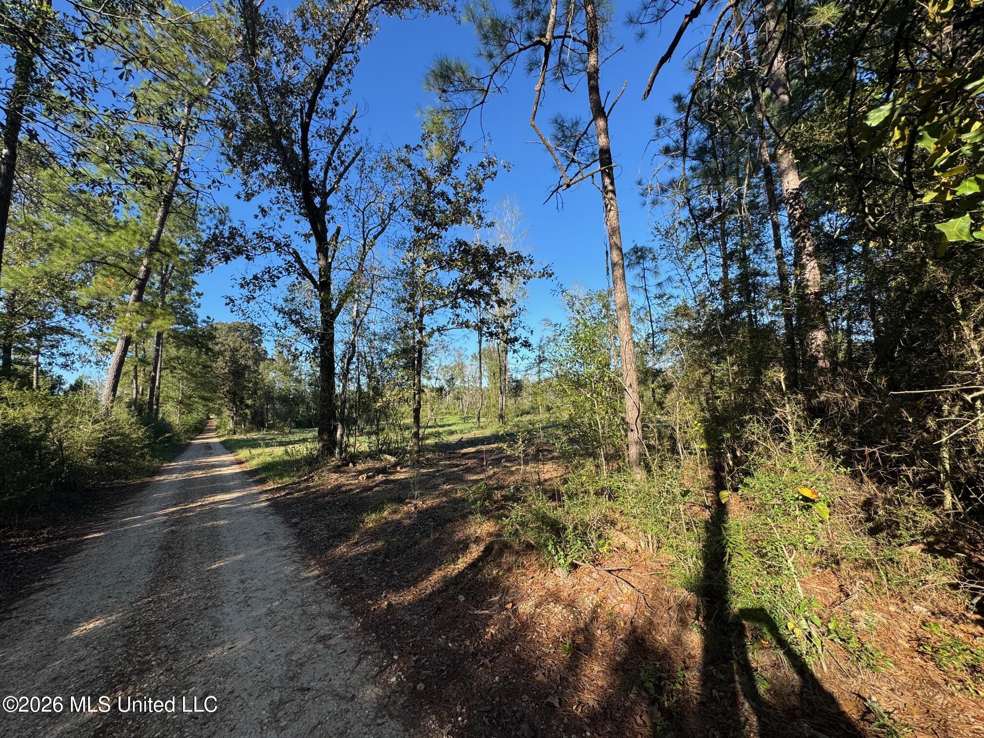 Xxx Emma Kelly Road Magnolia, MS 39652 - Photo 3 of 33 Emma Kelly 24
