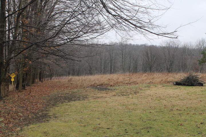 11430 Depolo Road Gambier, OH 43022 - Photo 21 of 28