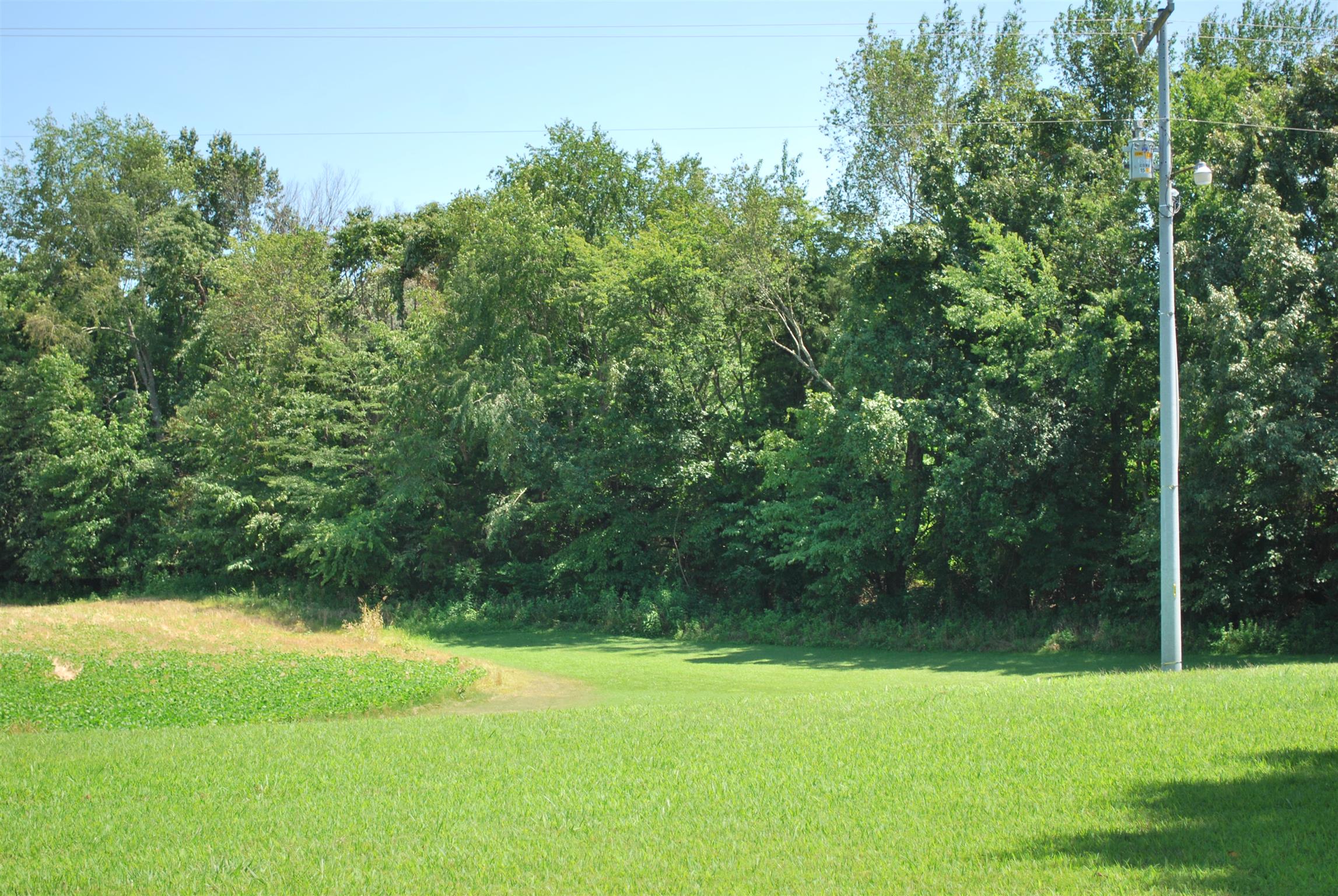 5729 Keysburg Road Adams, TN 37010 - Photo 3 of 30 a view of a yard with a tree