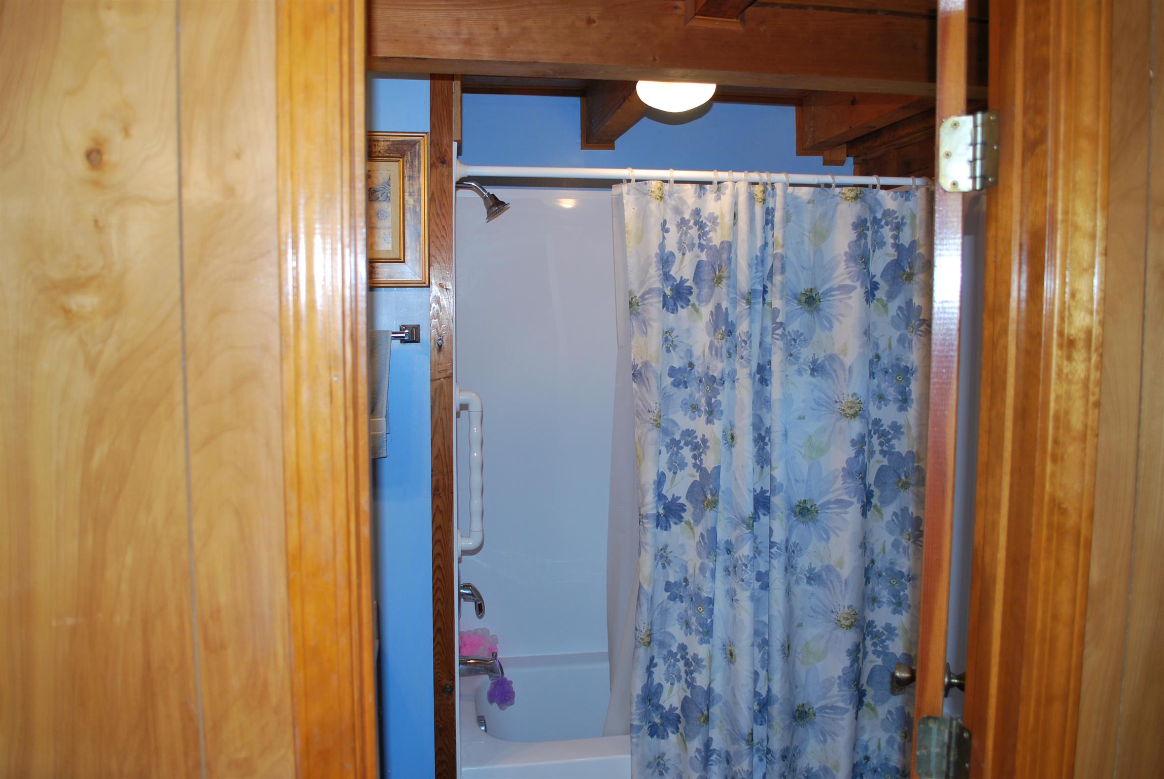 5729 Keysburg Road Adams, TN 37010 - Photo 24 of 30 a bathroom with a shower and a sink