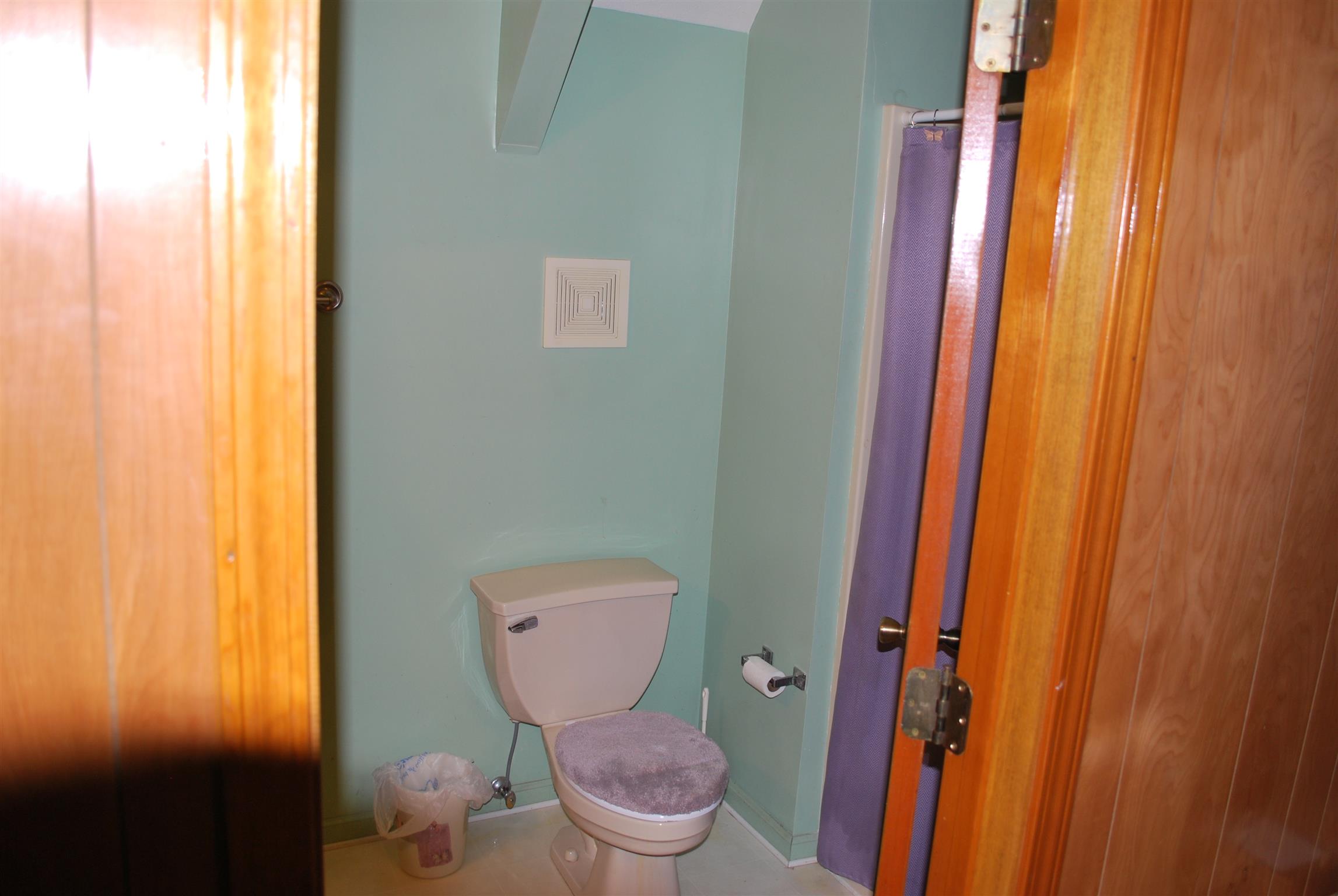 5729 Keysburg Road Adams, TN 37010 - Photo 28 of 30 a bathroom with a toilet and a shower curtain