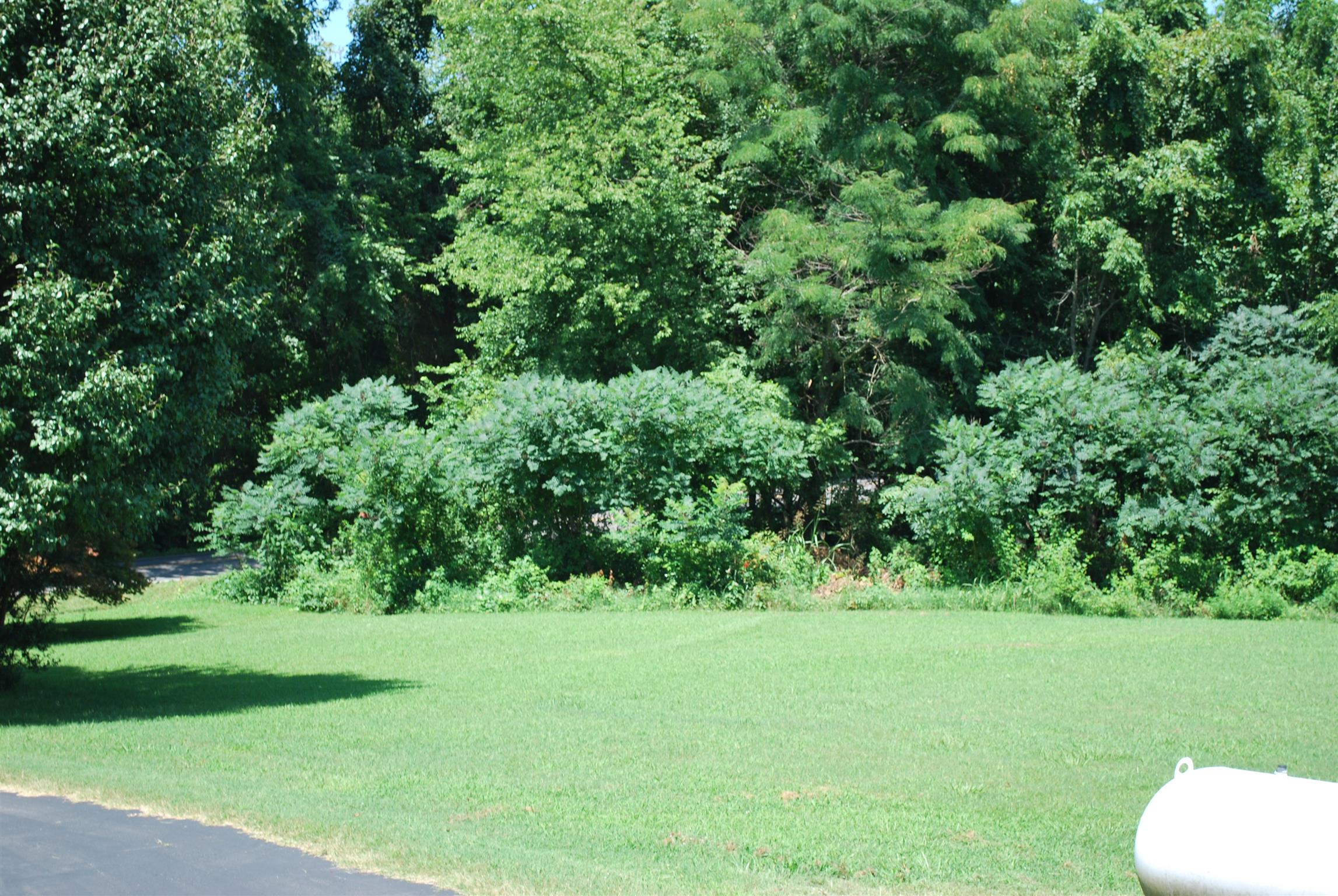 5729 Keysburg Road Adams, TN 37010 - Photo 30 of 30 a view of a garden with a house