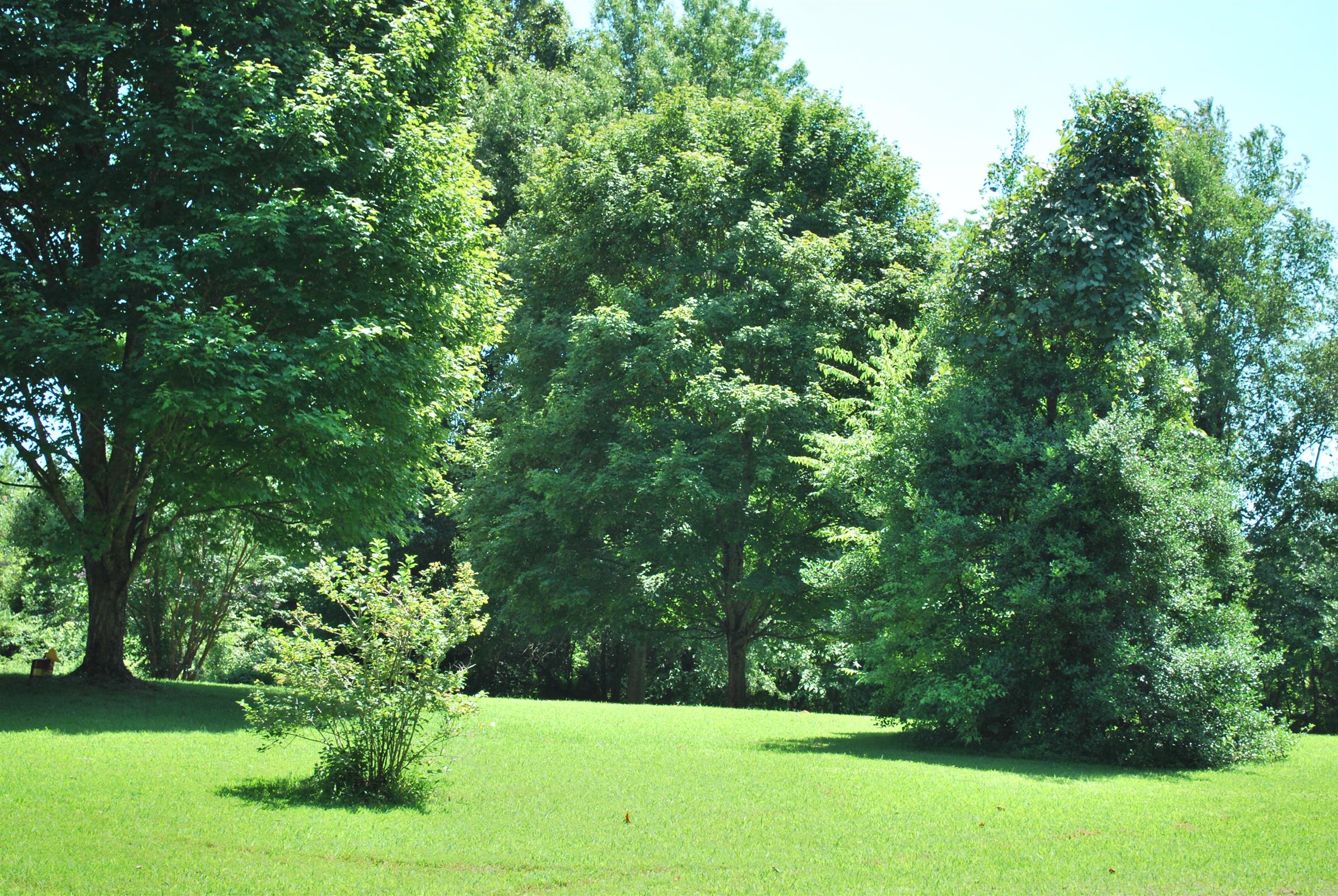 5729 Keysburg Road Adams, TN 37010 - Photo 4 of 30 a view of a garden