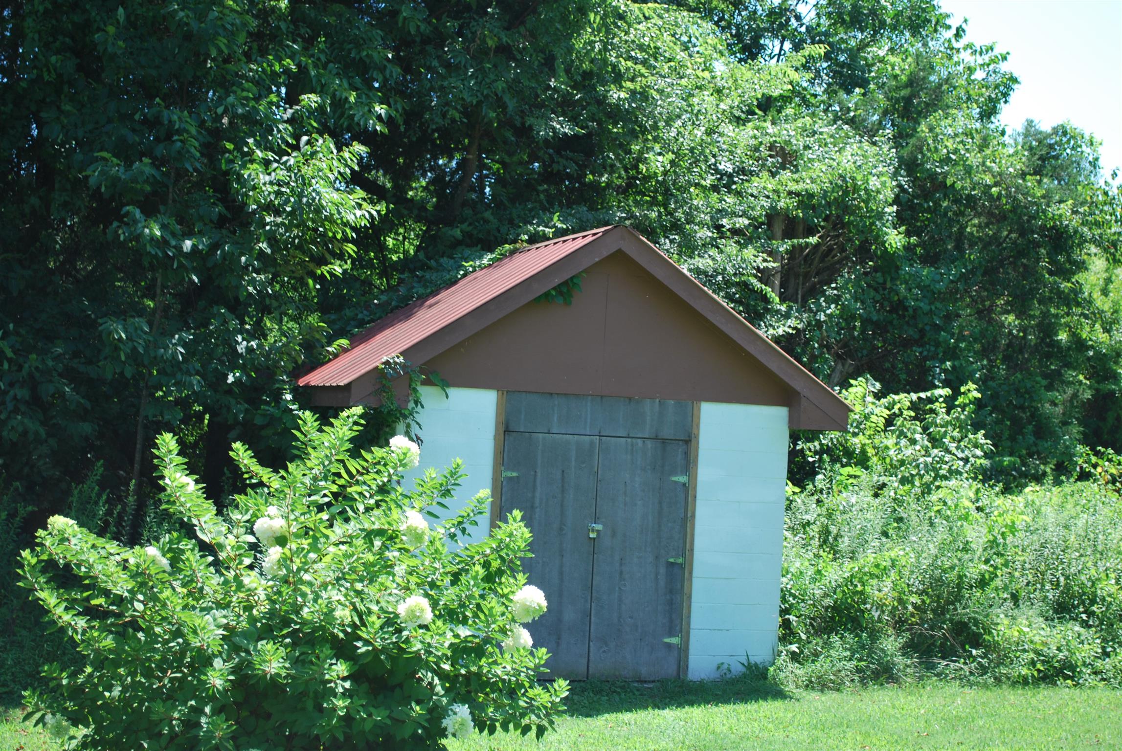 5729 Keysburg Road Adams, TN 37010 - Photo 6 of 30 a backyard of a house with plants and tree