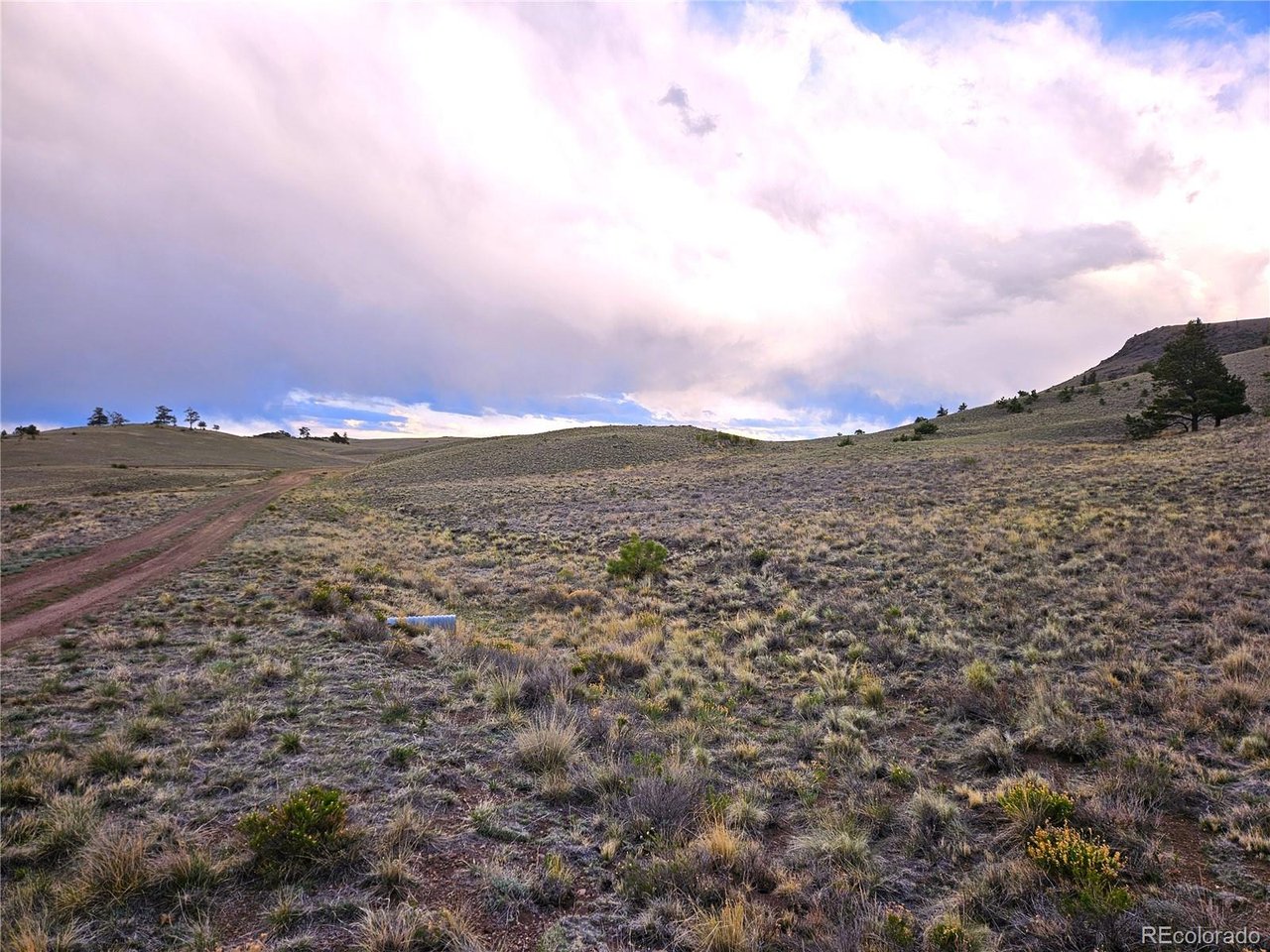 25427 Yuma Road Hartsel, CO 80449 - Photo 12 of 31