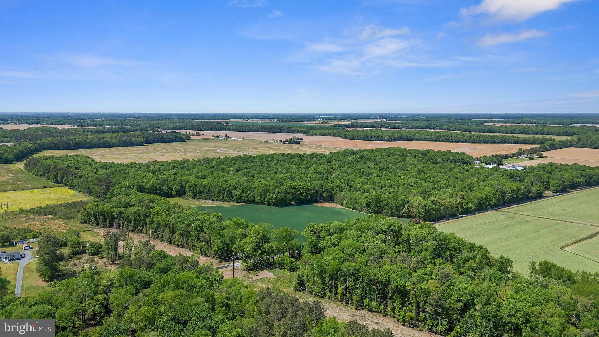 0 Cattail Road Harrington, DE 19952 - Photo 16 of 20