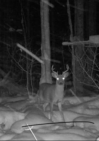 $99,900 | 0 Gass Road, Pittsburgh, PA 15229