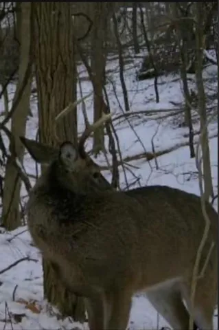 $99,900 | 0 Gass Road, Pittsburgh, PA 15229