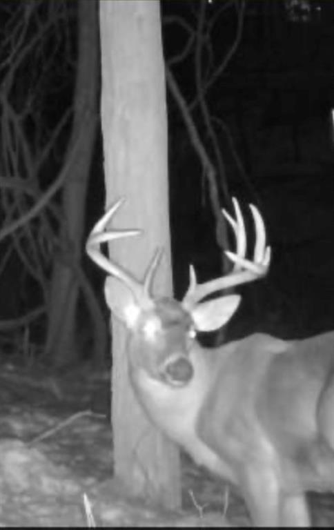 0 Gass Road Pittsburgh, PA 15229 - Photo 6 of 6