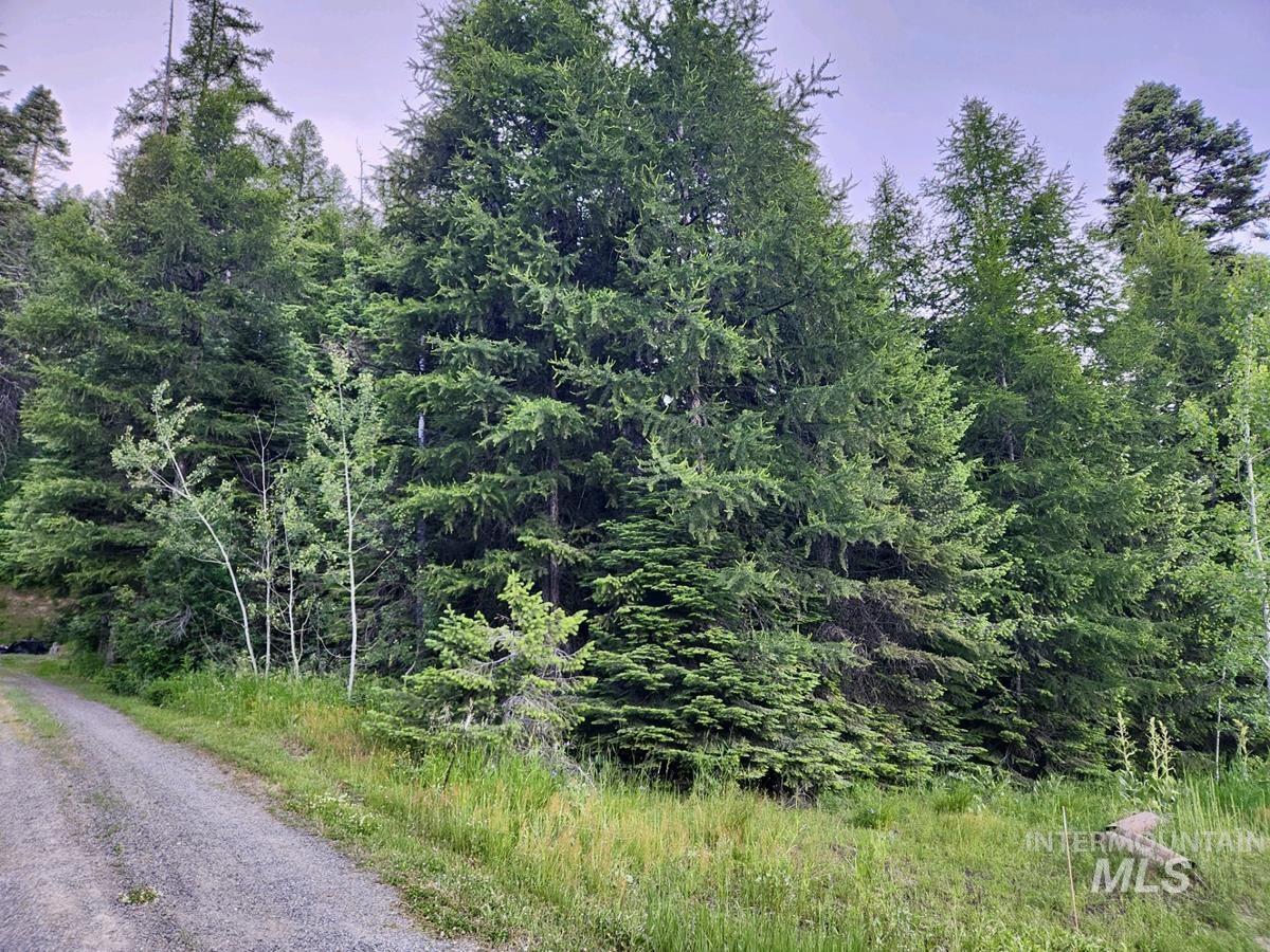 1457 West Mountain Road Cascade, ID 83611 - Photo 3 of 11