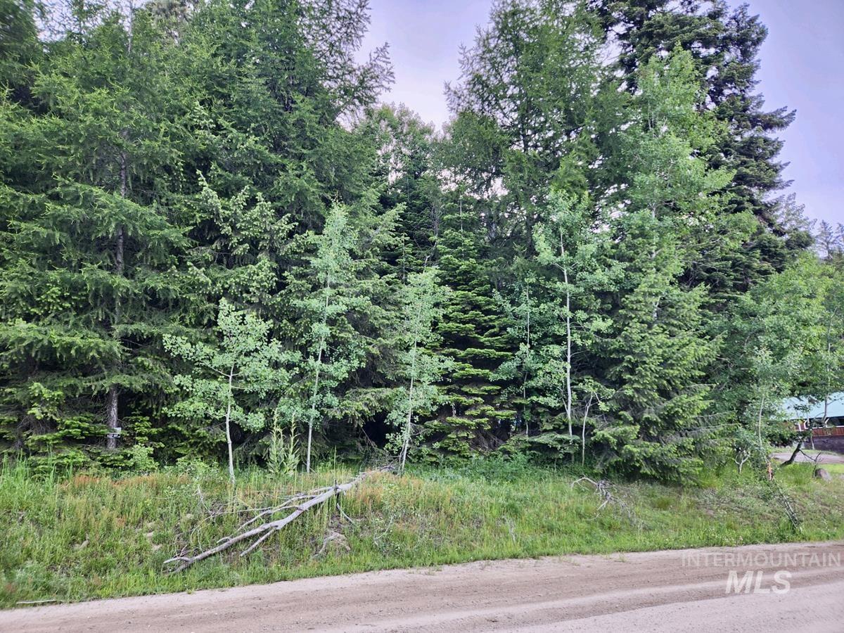 1457 West Mountain Road Cascade, ID 83611 - Photo 6 of 11