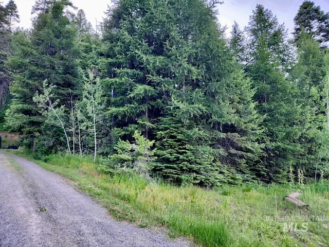 $309,000 | 1457 West Mountain Road, Cascade, ID 83611