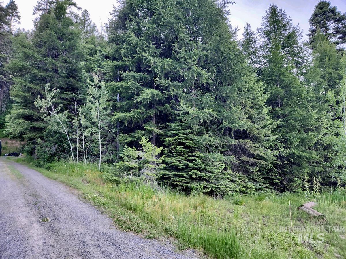 1457 West Mountain Road Cascade, ID 83611 - Photo 7 of 11