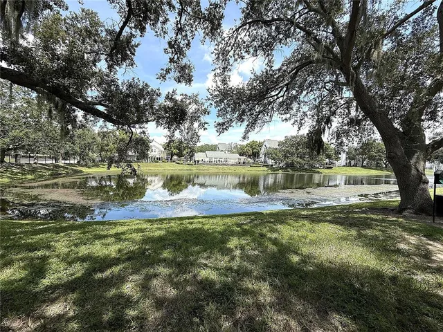 a view of a house with a yard and potted plants