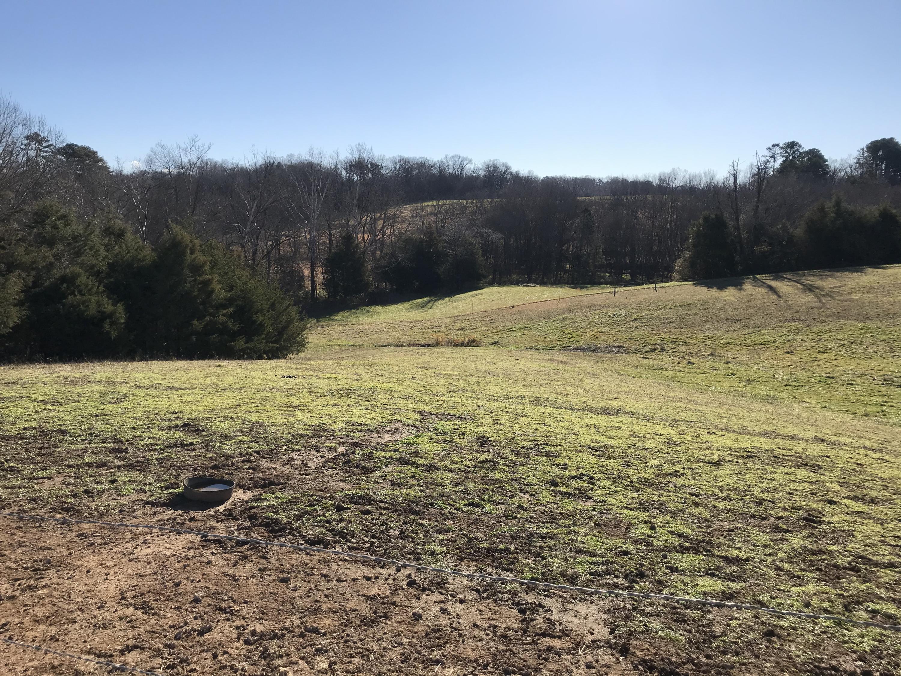 2087 Timber Ridge Road Greeneville, TN 37743 - Photo 11 of 127 IMG_6881