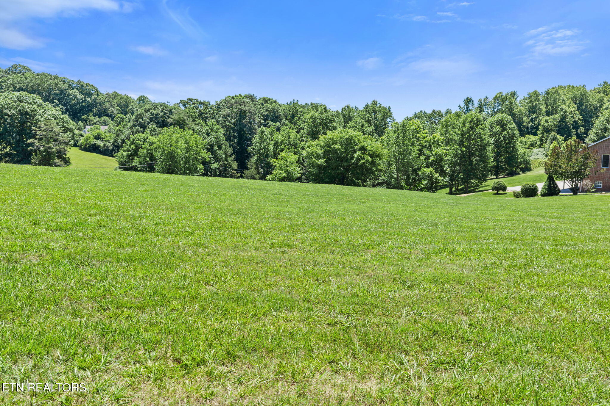 239 Sequoyah Road Andersonville, TN 37705 - Photo 6 of 55 7-web-or-mls-239 Sequoyah Rd--33