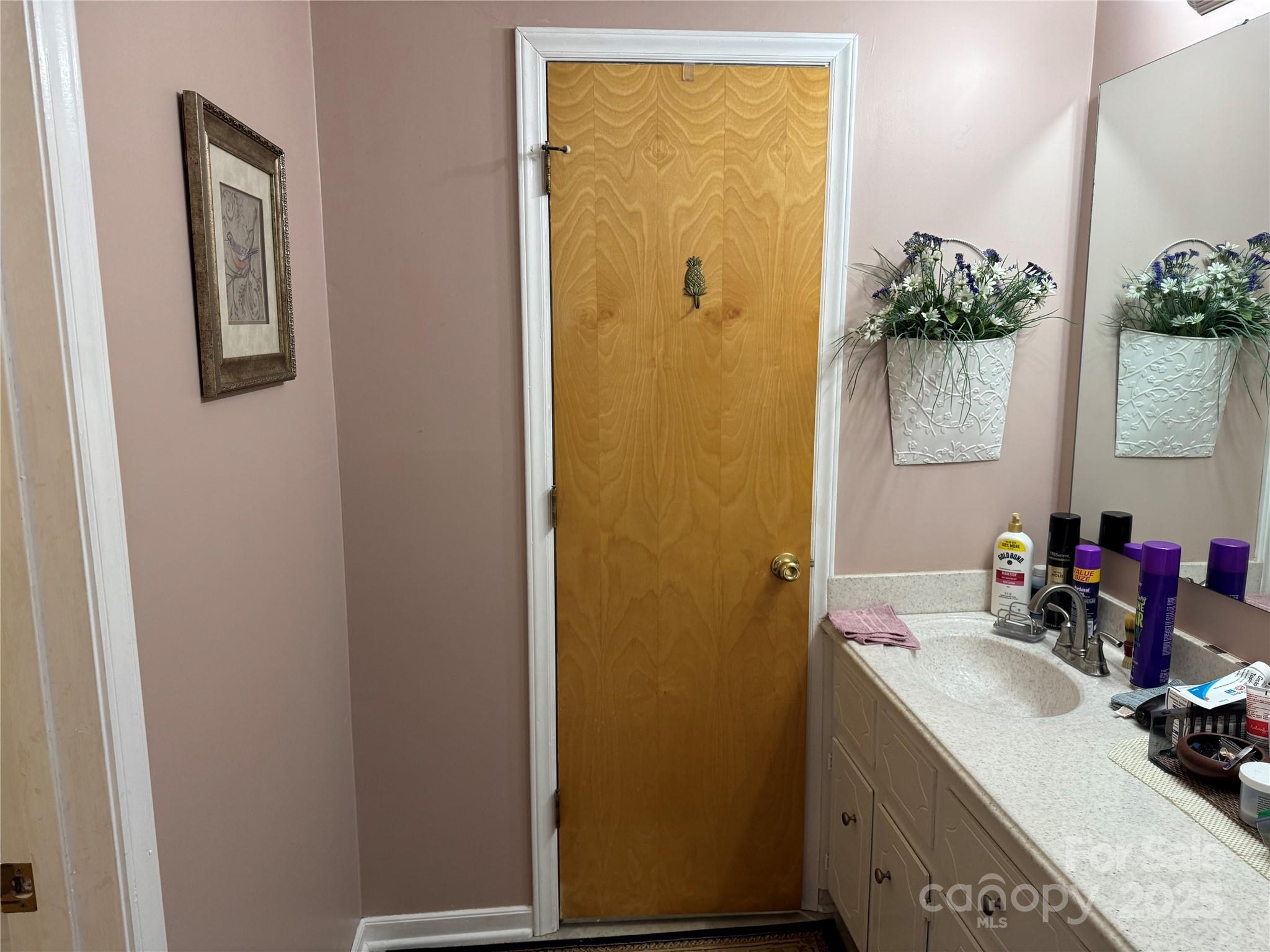 1068 Princeton Road Rock Hill, SC 29730 - Photo 16 of 25 a bathroom with a sink and a mirror