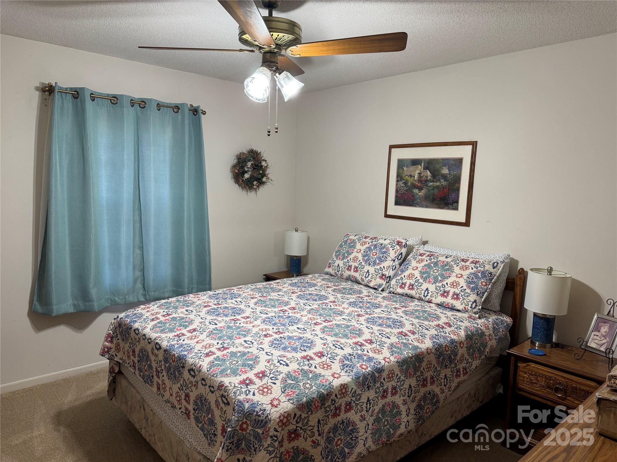 1068 Princeton Road Rock Hill, SC 29730 - Photo 17 of 25 a bedroom with a bed and a painting on the wall