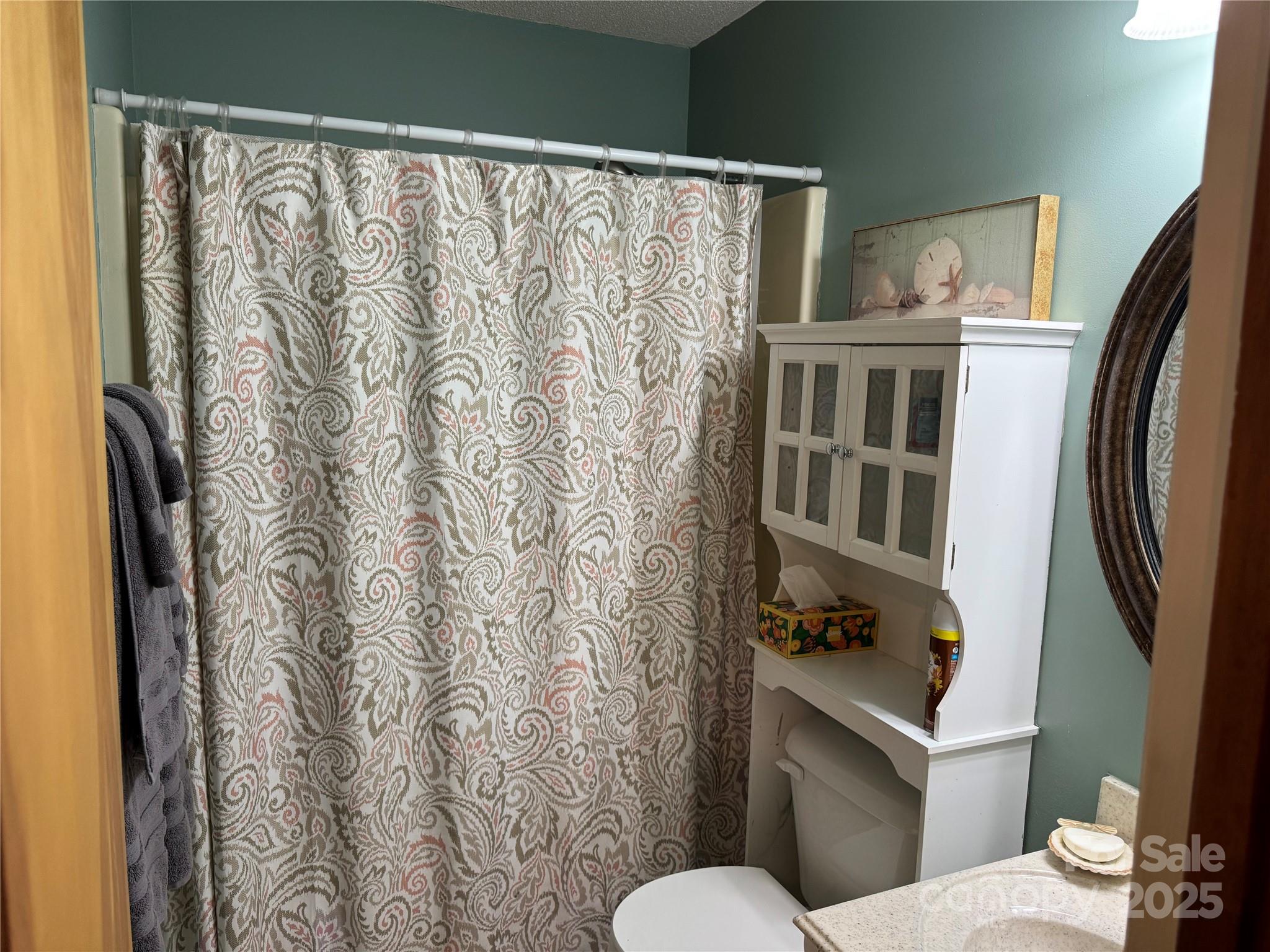 1068 Princeton Road Rock Hill, SC 29730 - Photo 19 of 25 a white toilet sitting next to a bathroom sink
