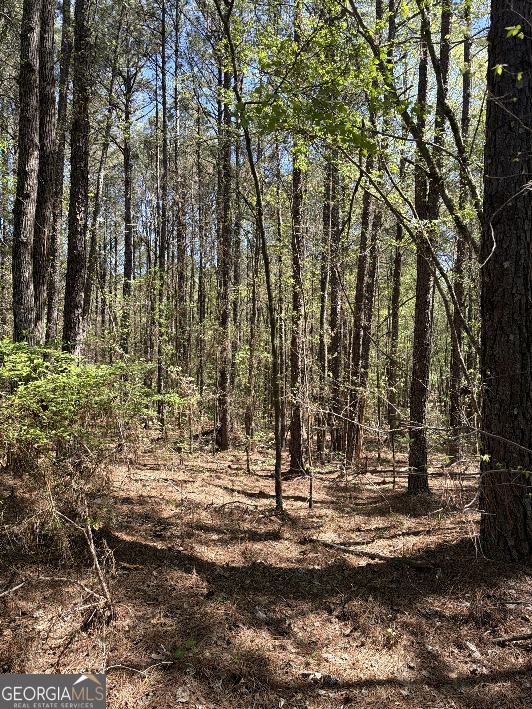 0 Old Union Point Road Greensboro, GA 30642 - Photo 2 of 5