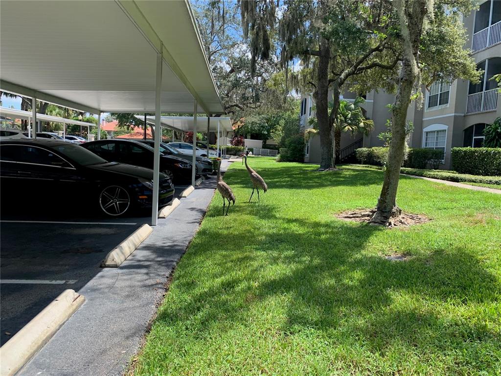 1212 South Hiawassee Road, Unit 535 Orlando, FL 32835 - Photo 25 of 27