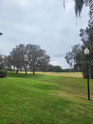 a view of grassy field with mountain