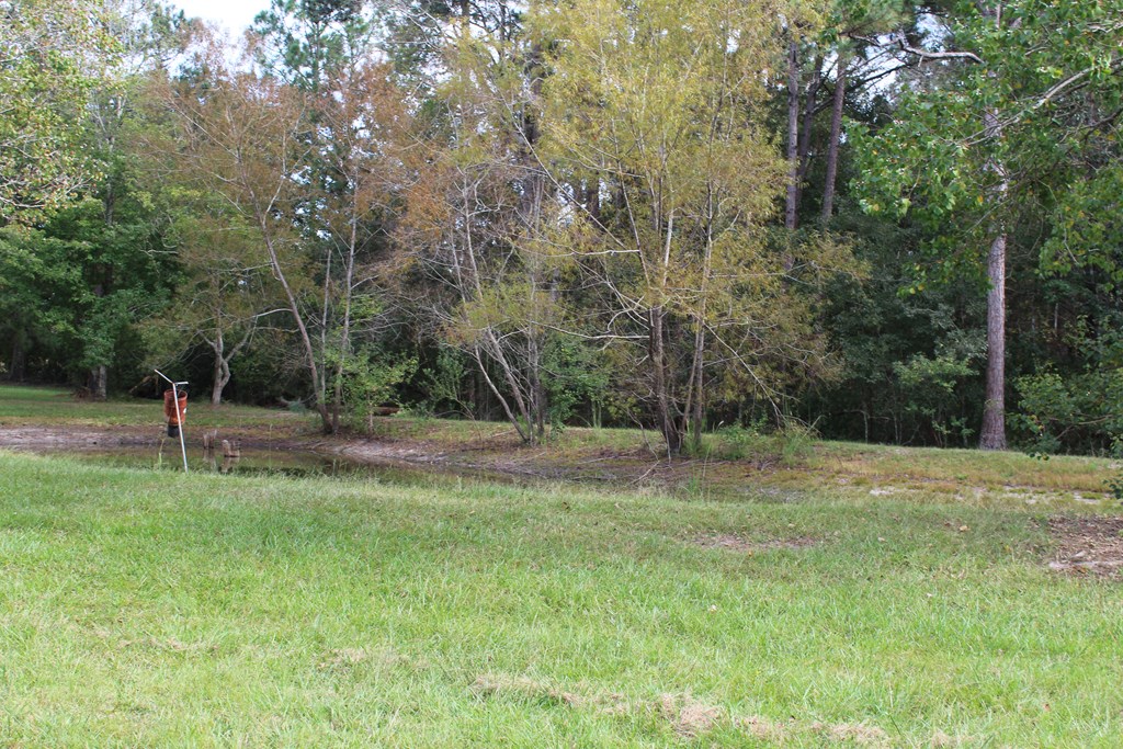930 Edwin Reynolds Road Cottonwood, AL 36320 - Photo 3 of 32