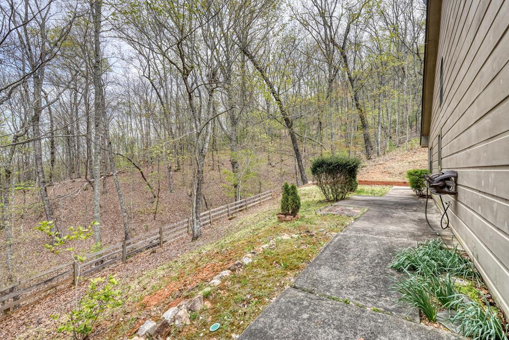 71 Andy Court Morganton, GA 30560 - Photo 29 of 43 a view of yard