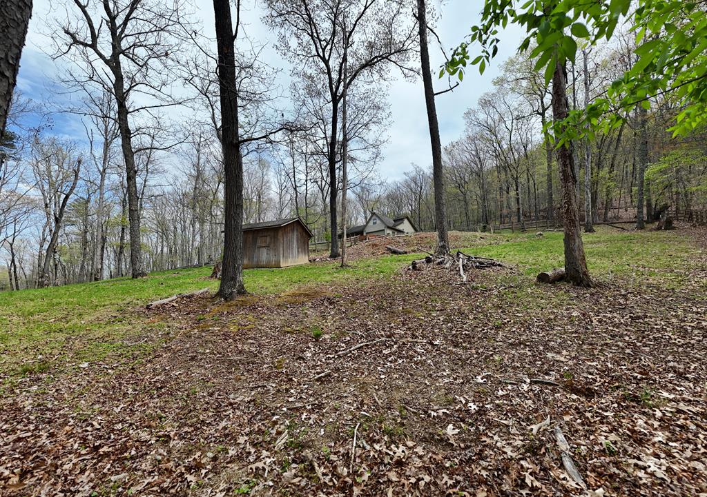 71 Andy Court Morganton, GA 30560 - Photo 33 of 43 a backyard of a house with lots of green space